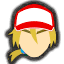 Terry icon