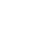 The Nexus